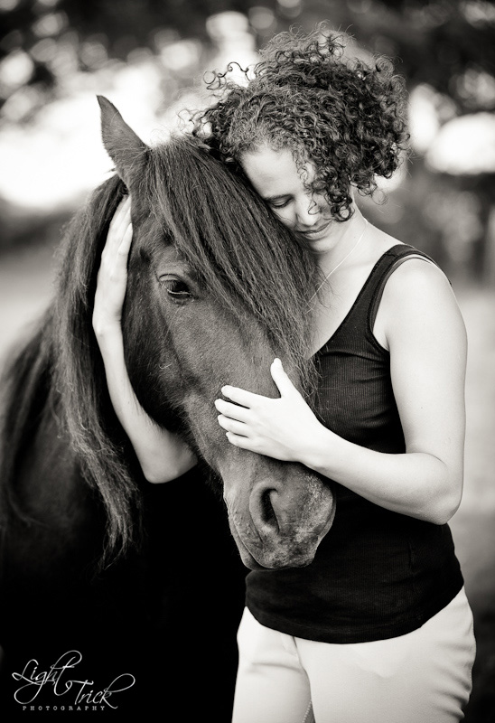 s20120620180259-2 horse portrait photographer in Sussex